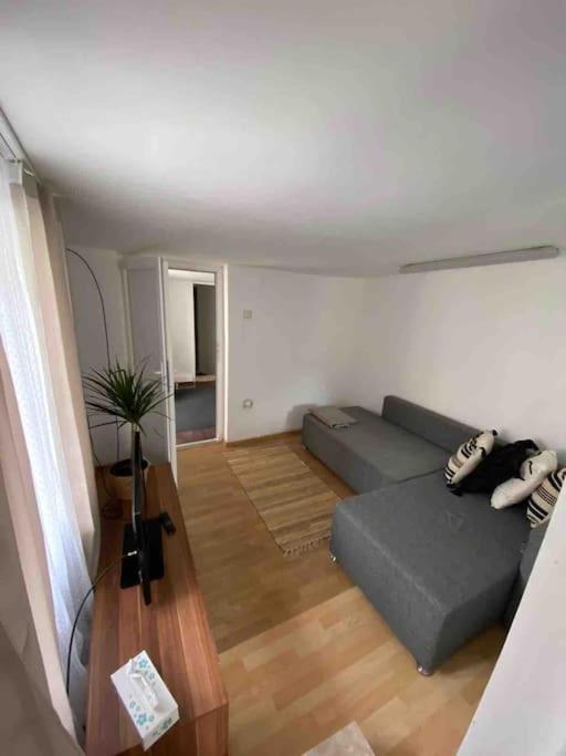 House Apartment In Timişoara Extérieur photo