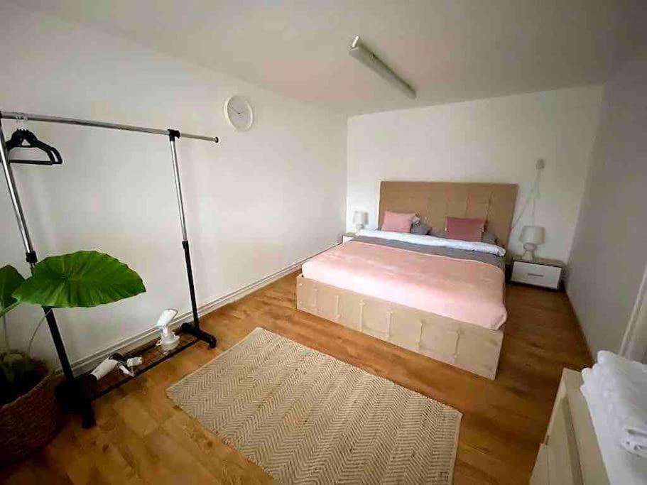 House Apartment In Timişoara Extérieur photo